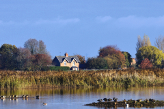 RSPB-Blacktoft-Sands